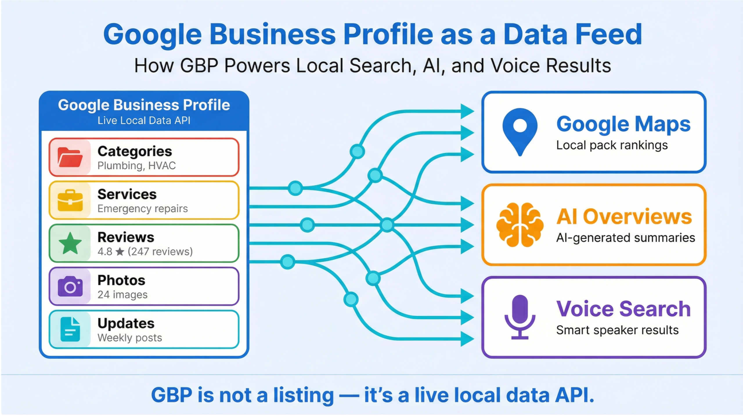 Fern Park Google Maps SEO infographic showing how Google’s AI selects Top 3 local results using entity signals, proximity, and trust in 2026